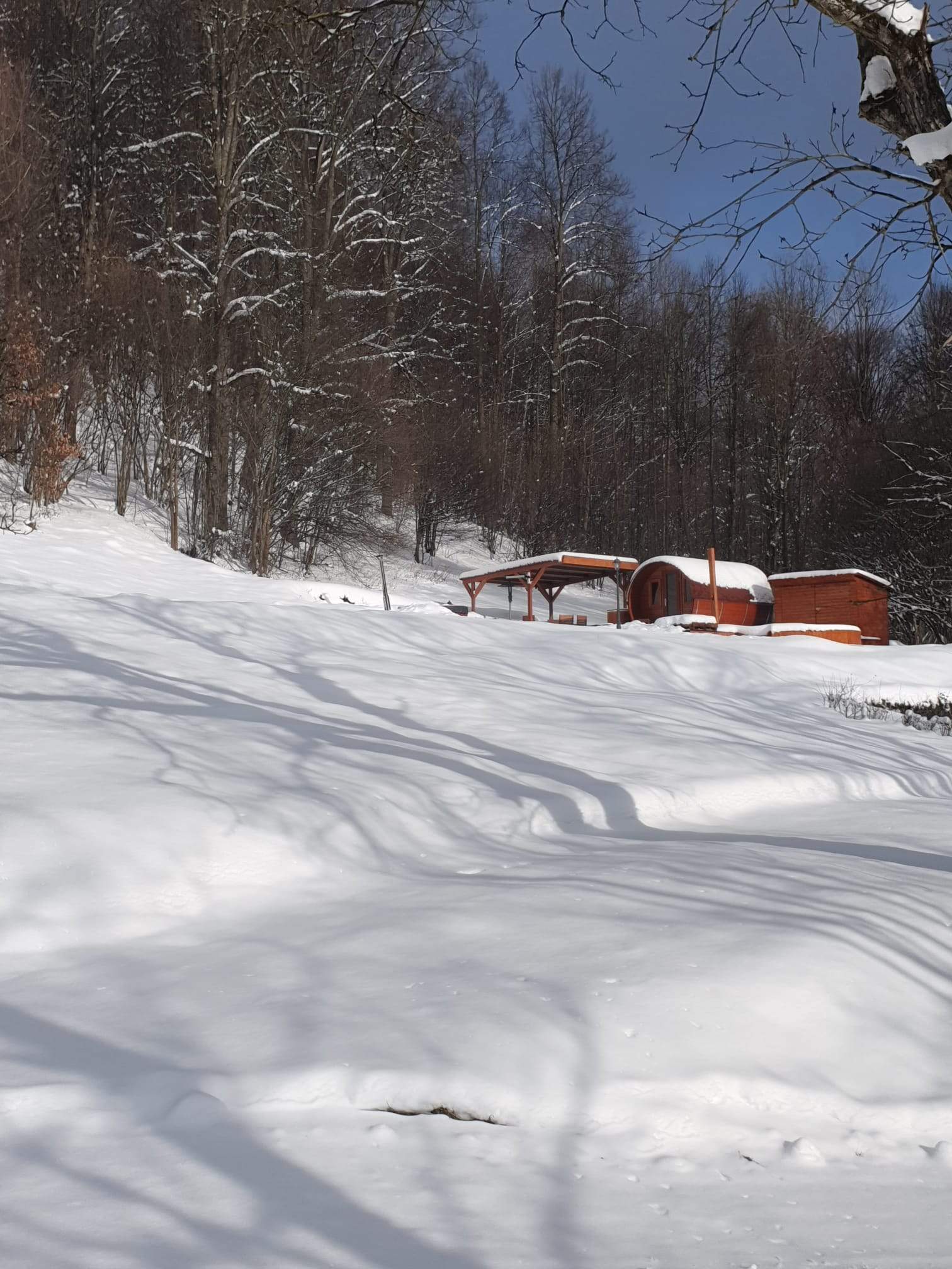 ObrzekWhatsApp2025 03 20v15.37.04 83223b96